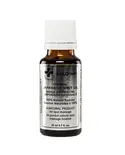Hagina Hagina Japanese Mint Oil Box (12 x 20 ml)