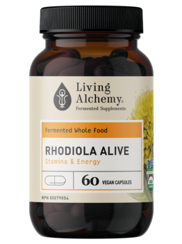 Living Alchemy Living Alchemy Rhodiola Alive 60 caps