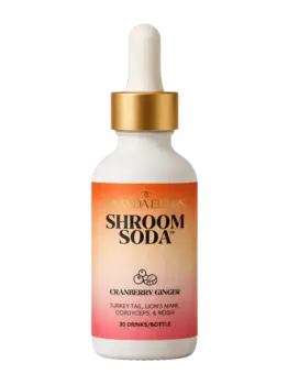 Shroom Soda Ananda Elixirs Shroom Soda Cranberry Ginger 30 serving