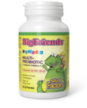Natural Factors Natural Factors Big Friends  Children's Multi Probiotic 60g pwd