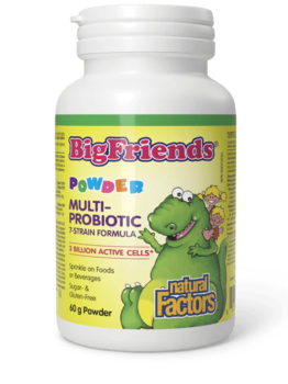 Natural Factors Natural Factors Big Friends  Children's Multi Probiotic 60g pwd