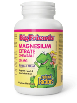 Natural Factors Natural Factors Big Friends Magnesium Bubblegum 50 mg 60 chewable tabs