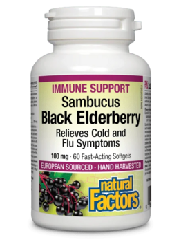 Natural Factors Natural Factors Black Elderberry Extract 60 Softgels