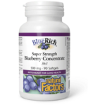 Natural Factors Natural Factors Blueberry Concentrate 500 mg 90 softgels