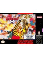 Tony Meola's Sidekicks Soccer Super Nintendo