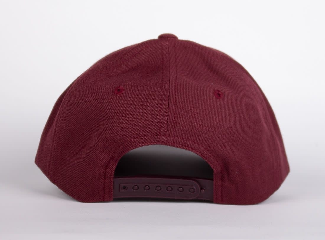 WLKN WLKN : Stair Baseball Cap