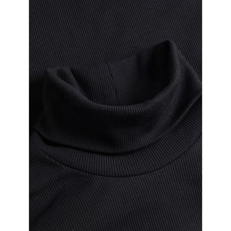 JJXX JJXX : Fan Long Sleeve Rib Turtle Neck