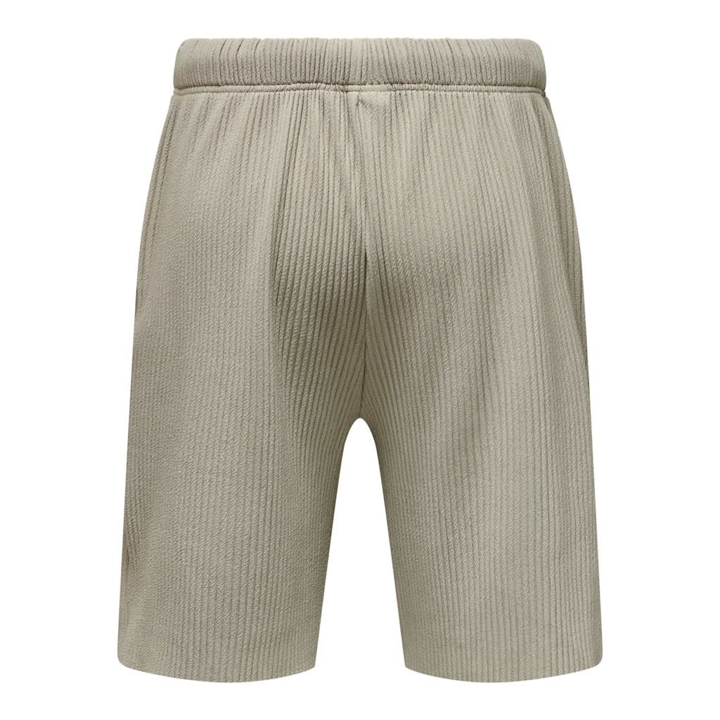 Only and Sons Only & Sons : Relaxed Pleated Shorts