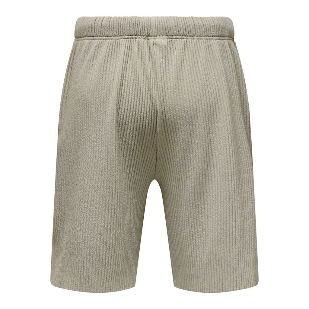 Only & Sons Only & Sons : Relaxed Pleated Shorts