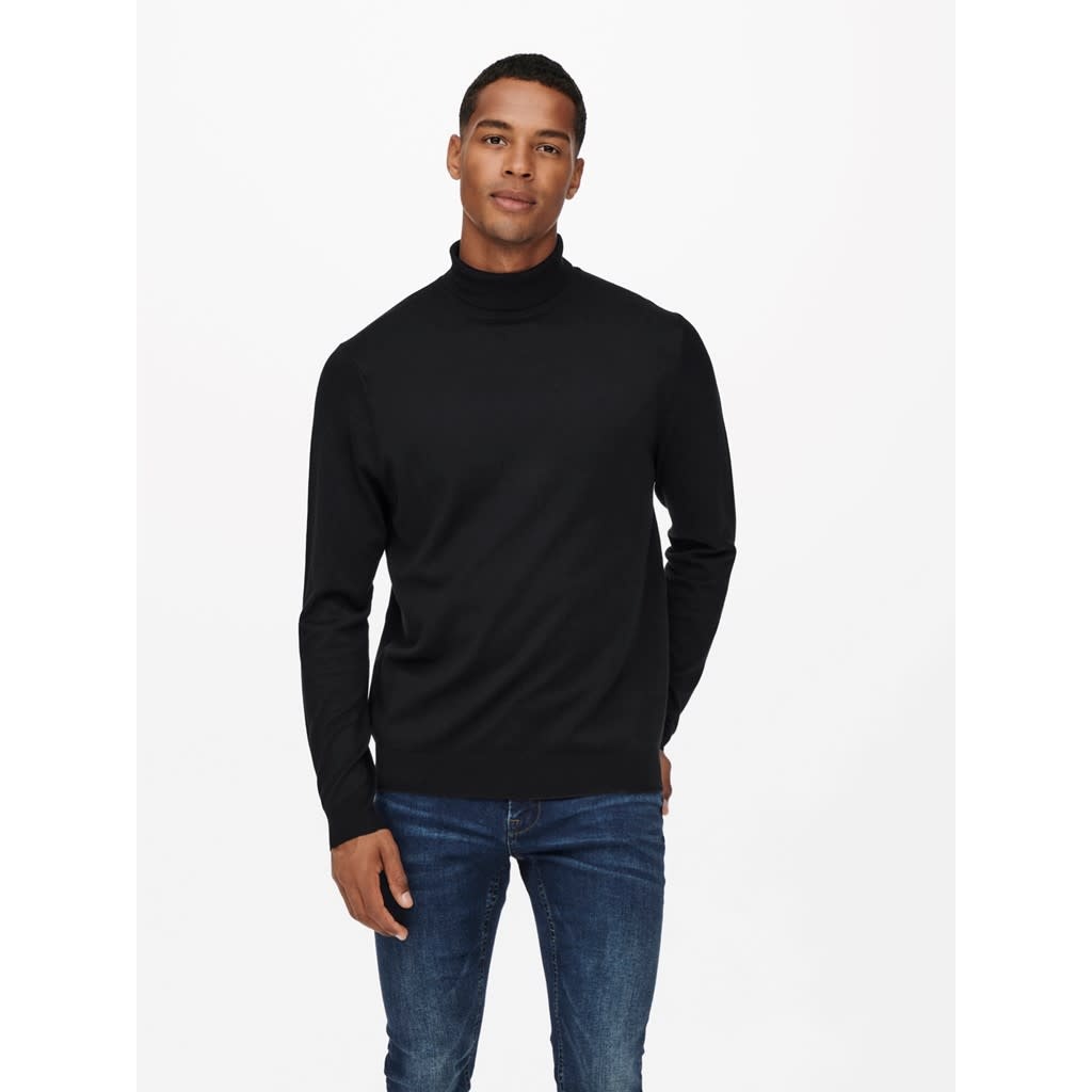 Only and Sons Only & Sons : Regular Knit Rollneck