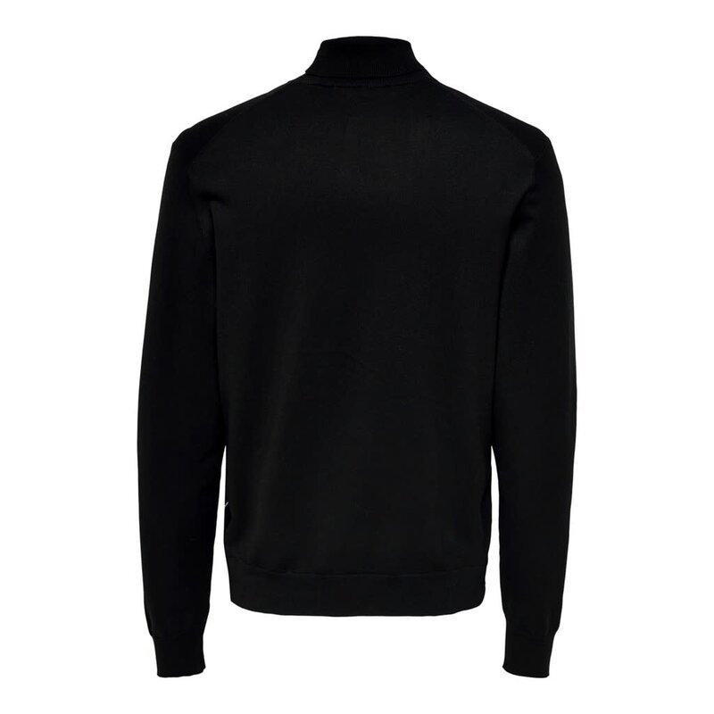 Only & Sons Only & Sons : Regular Knit Rollneck