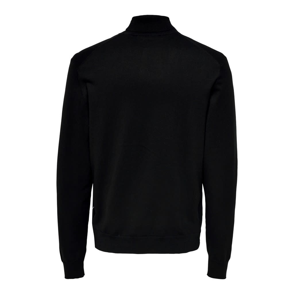 Only and Sons Only & Sons : Regular Knit Rollneck