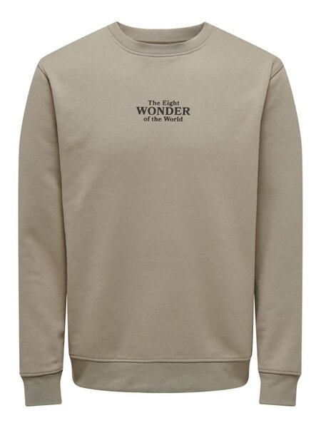 Only & Sons Only & Sons : Regular Fit Celebrity Crewneck