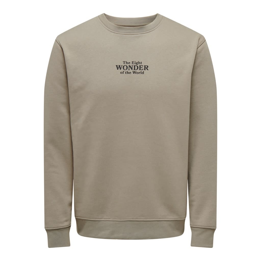 Only and Sons Only & Sons : Regular Fit Celebrity Crewneck