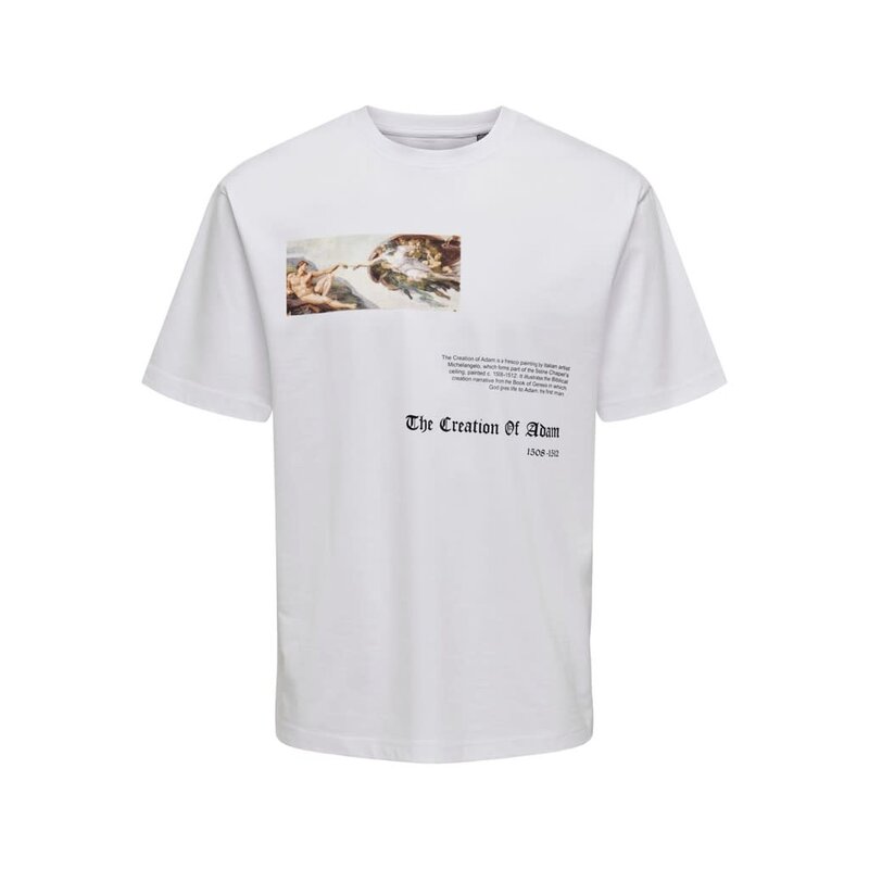 Only & Sons Only & Sons : Michelangelo Relax Fit SS Tee