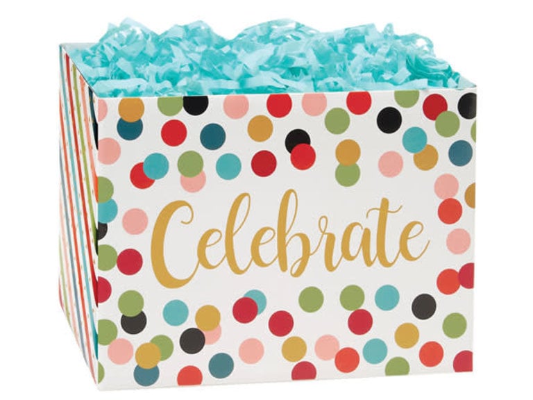 Celebrate Dots Large Box