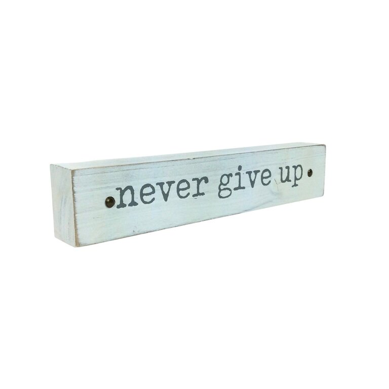 Inspirational Plaque Never Give Up
