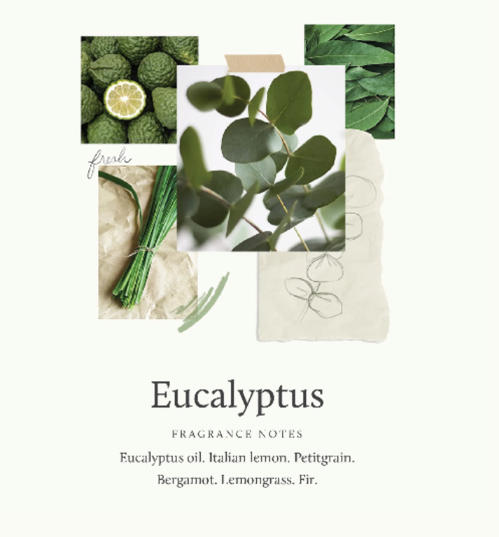 Eucalyptus Replenishing Hand Lotion