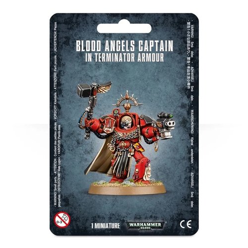 Warhammer 40k Blood Angels Captain in Term Armor
