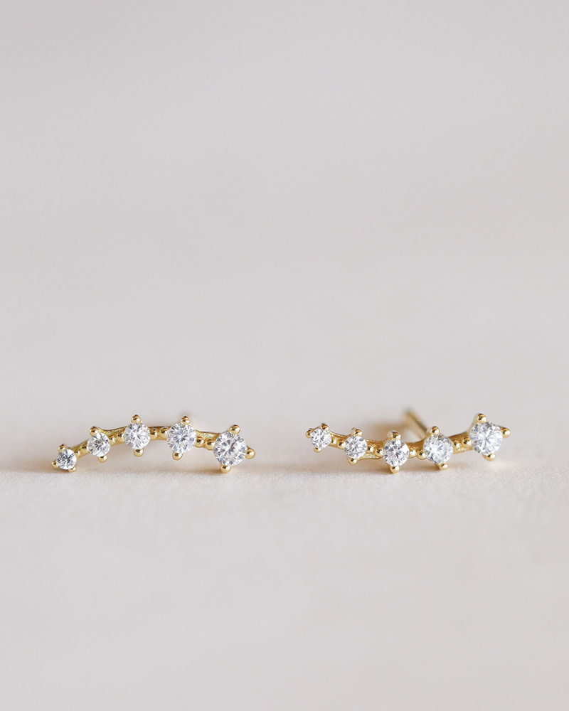 Crawler Earring