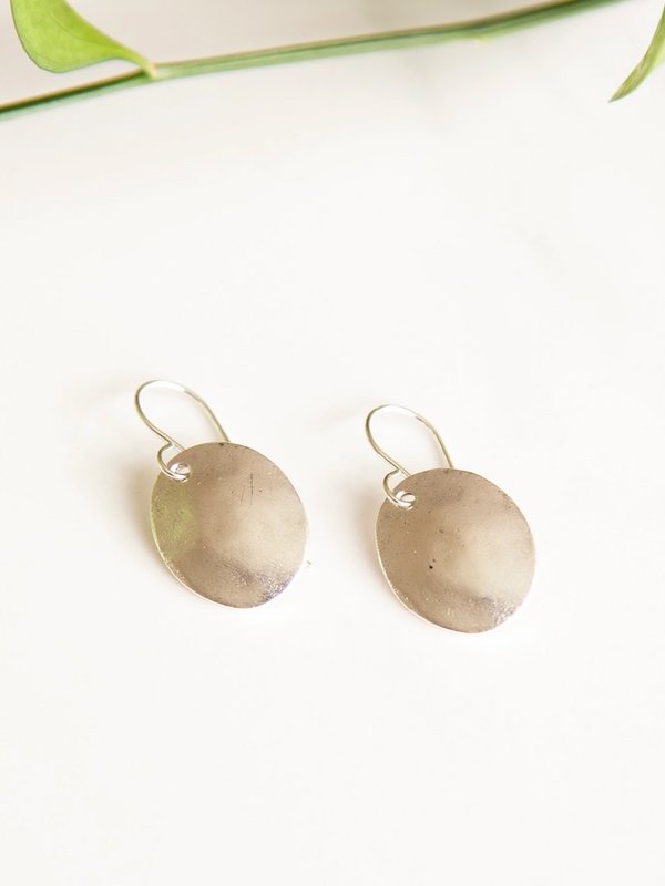 Stowaway Jewelry Kyle Earrings-Silver