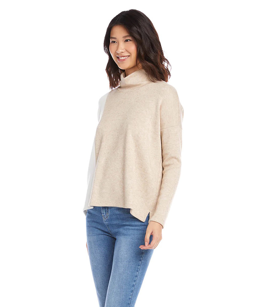 Turtleneck Colorblock Sweater