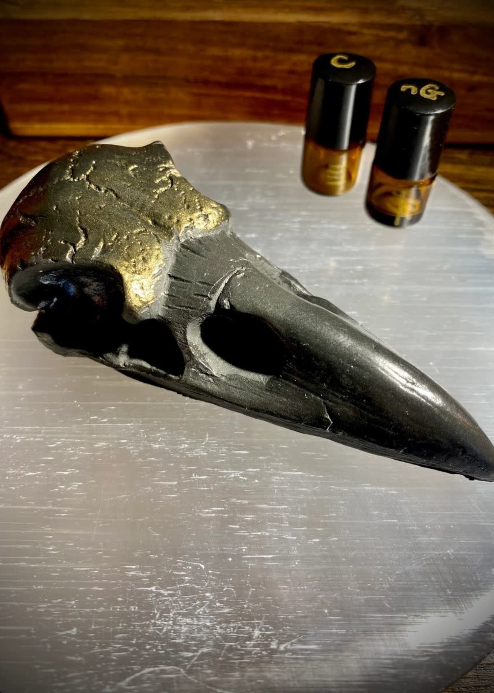 Raven Skull - Altar piece, Mounted, or Hung, Optional Finishes