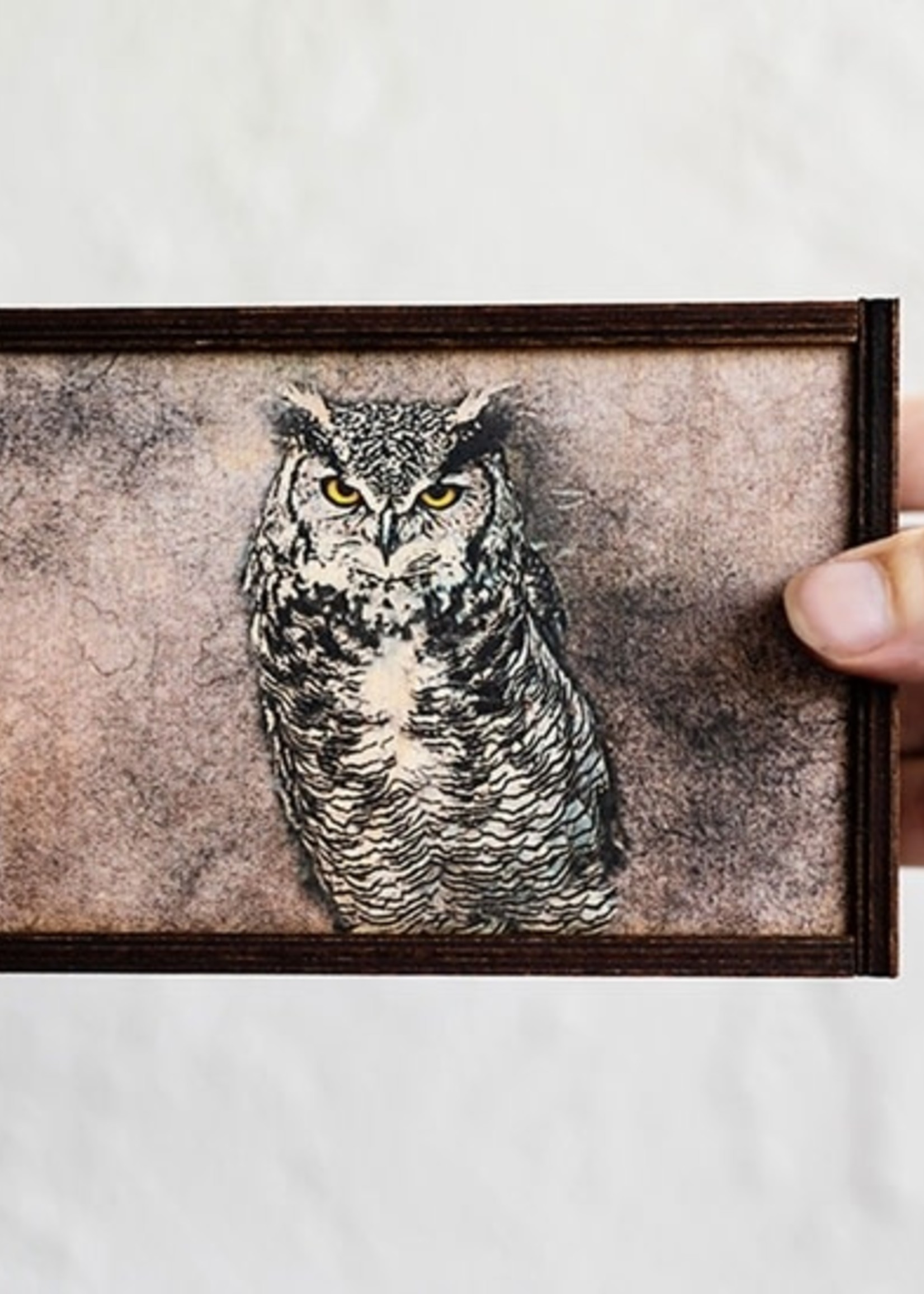 Most Amazing Boxes: Owl Full Color 4x6