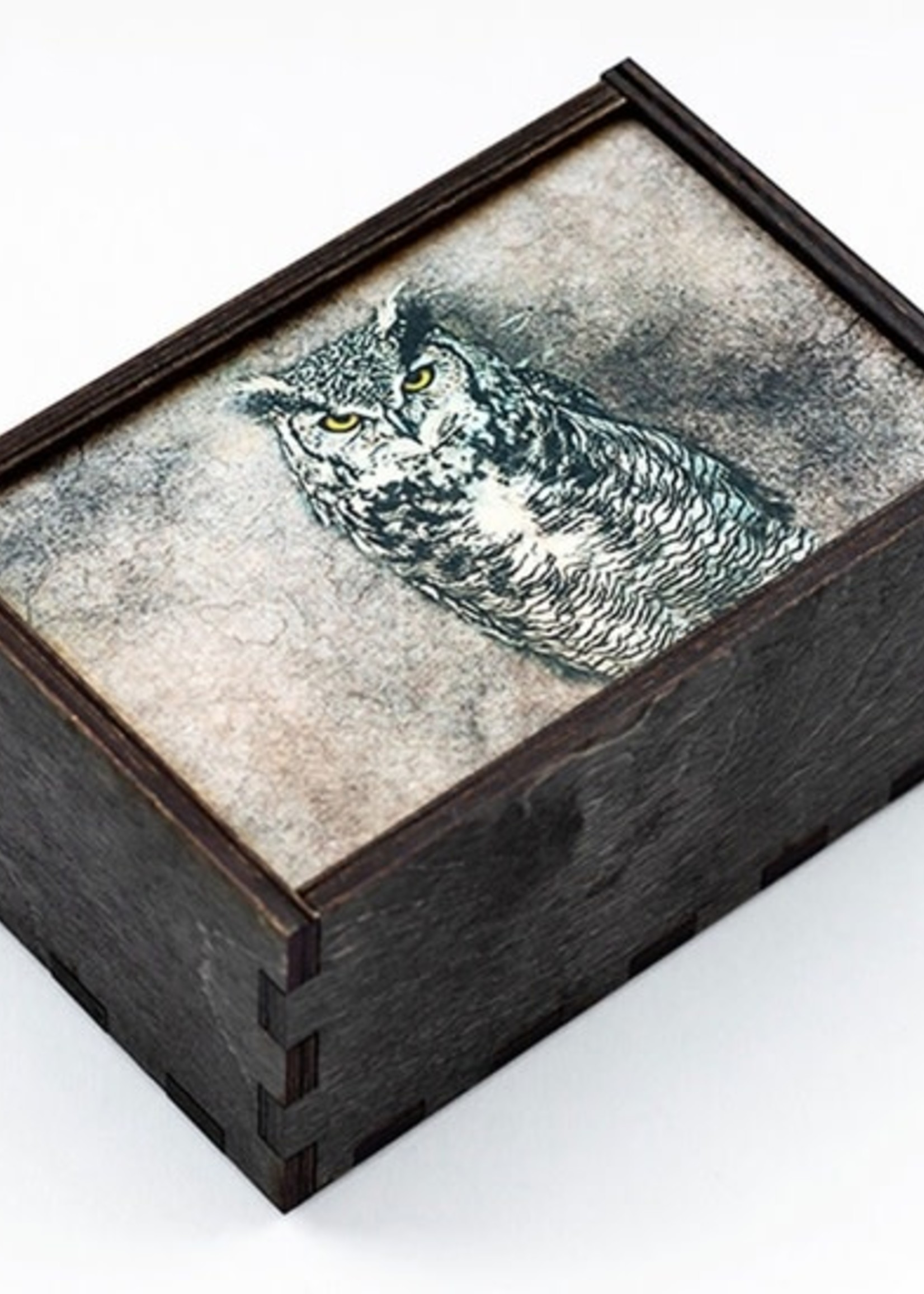 Most Amazing Boxes: Owl Full Color 4x6