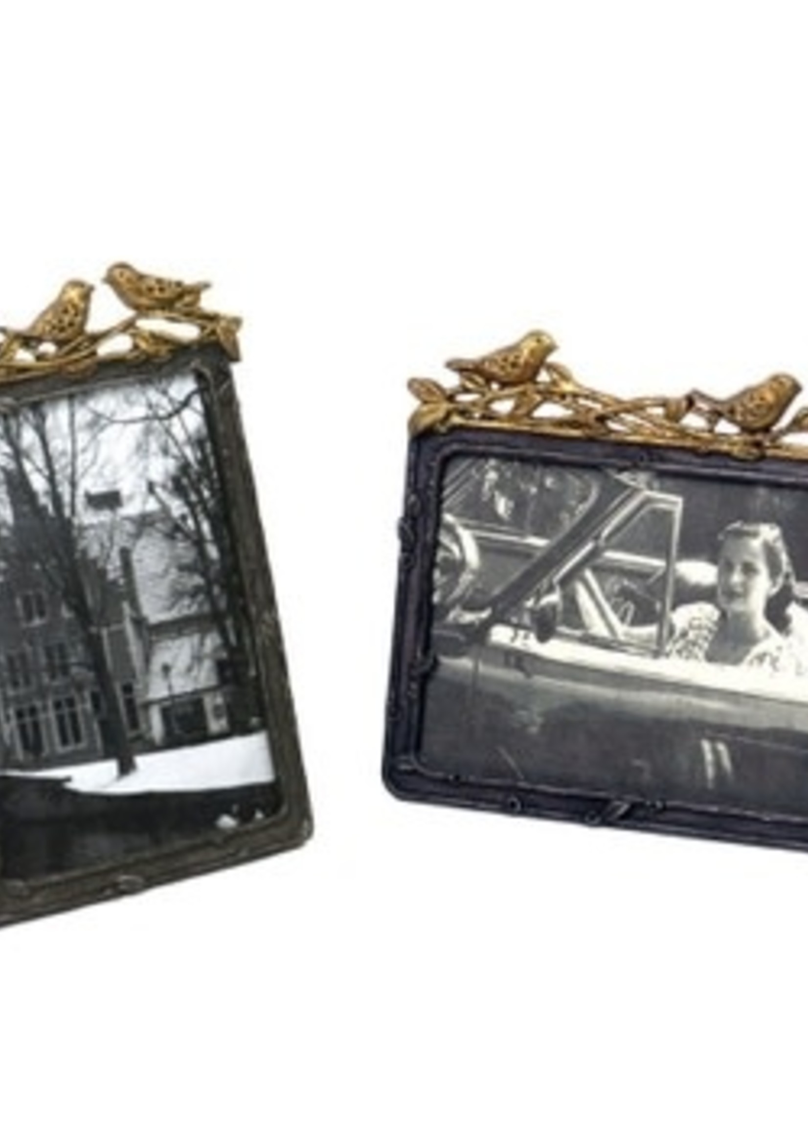 Pewter Frame with Gold Leaf Birds