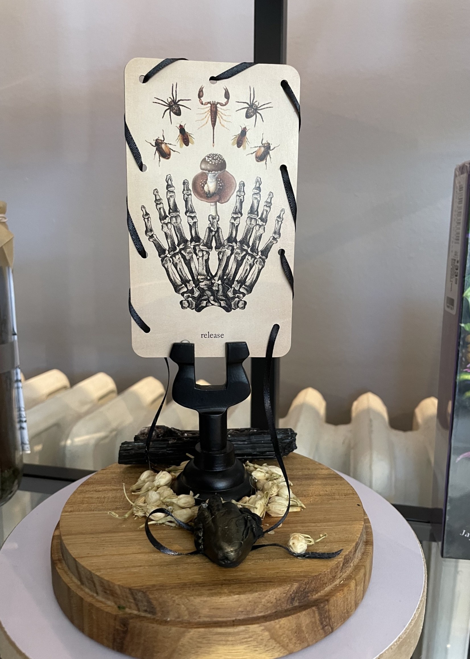 'Scorpions Release' Diorama