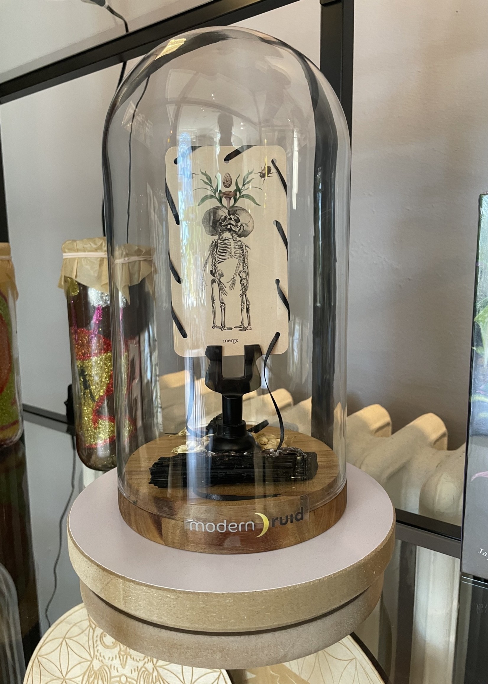 'Scorpions Release' Diorama