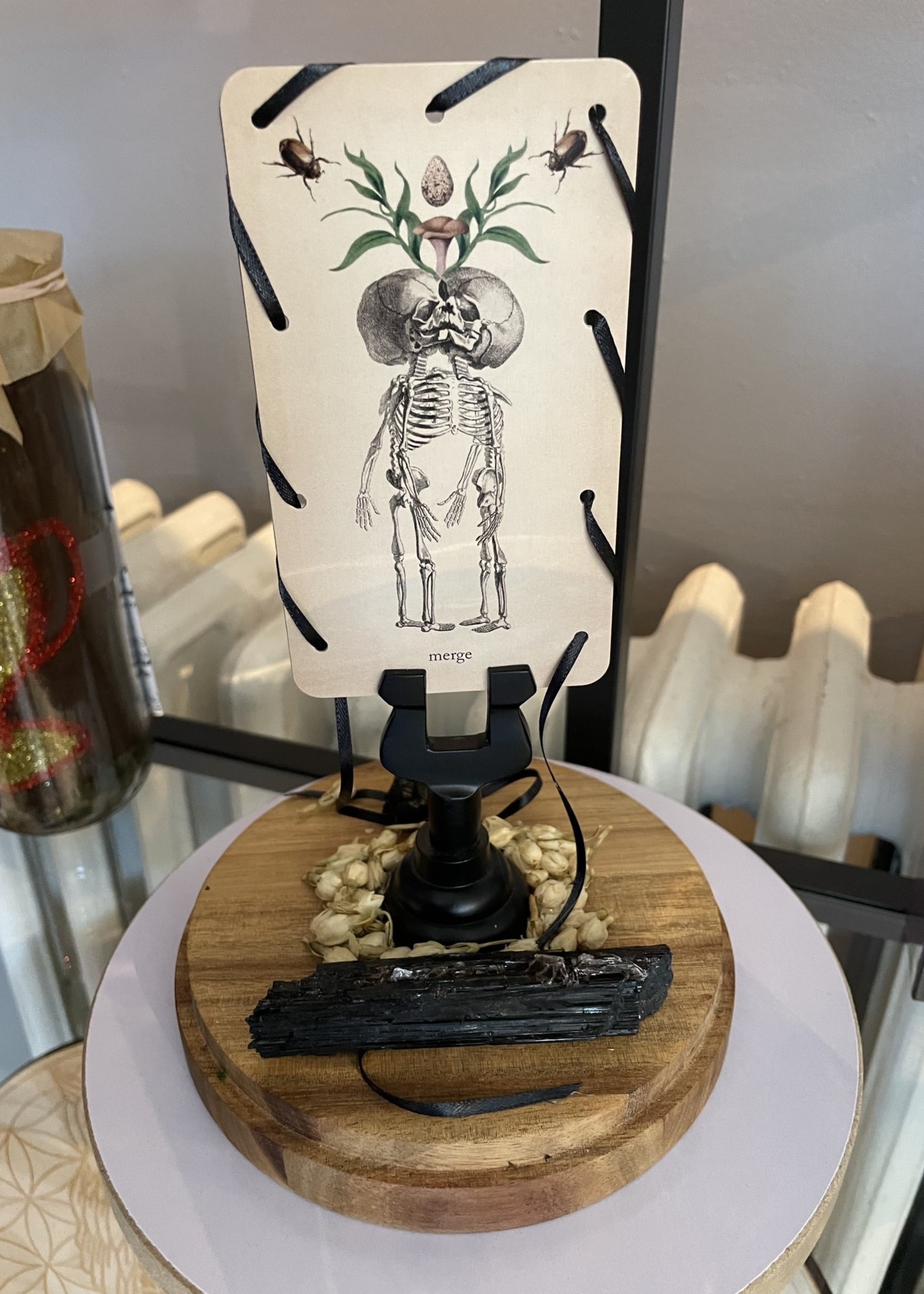 'Scorpions Release' Diorama