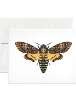Open Sea Death's-Head Hawkmoth Blank Card