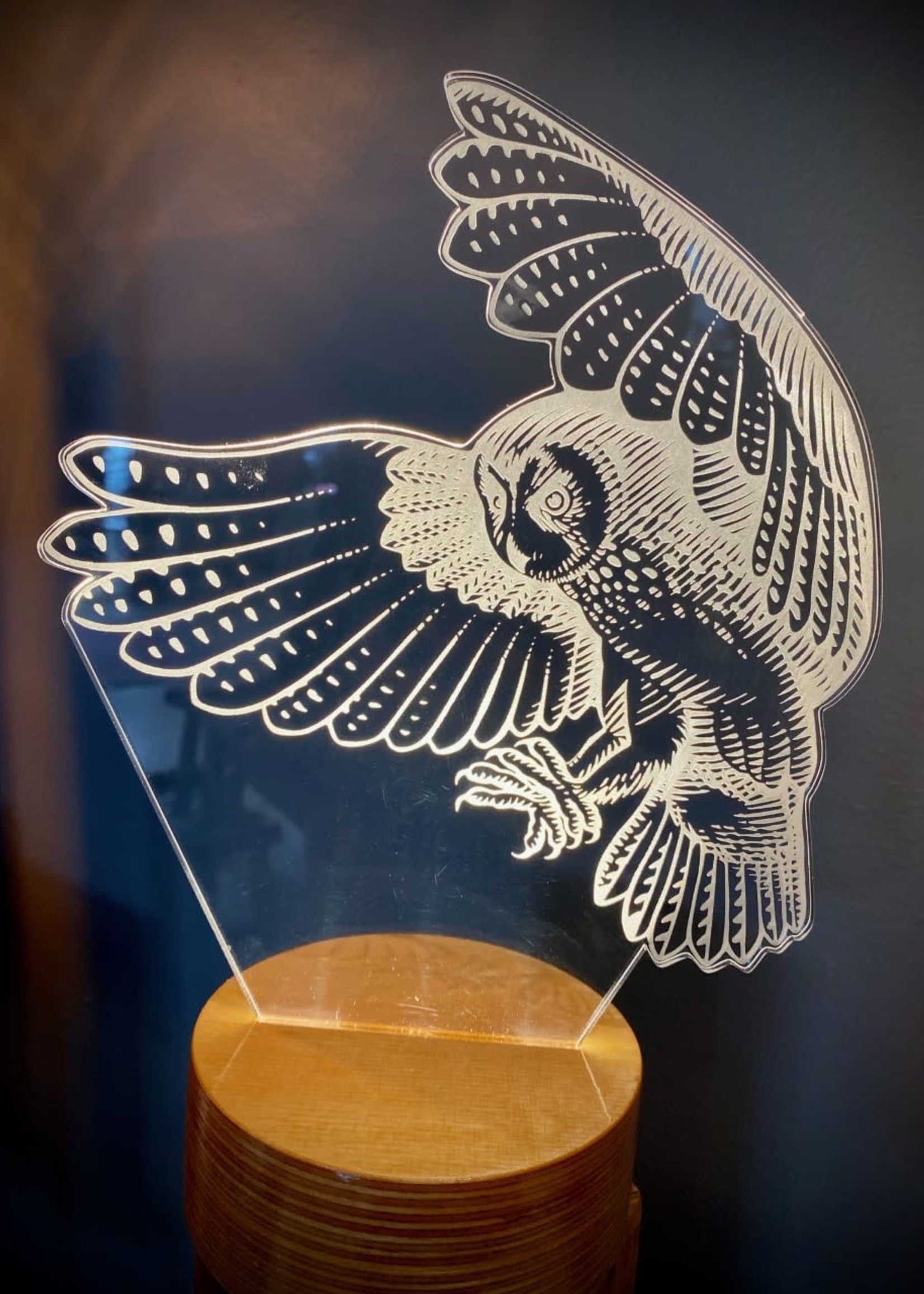 Studio BYLAMP Modern Druid Flying Owl LED Light
