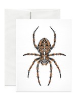 Open Sea Diadem Spider Blank Card