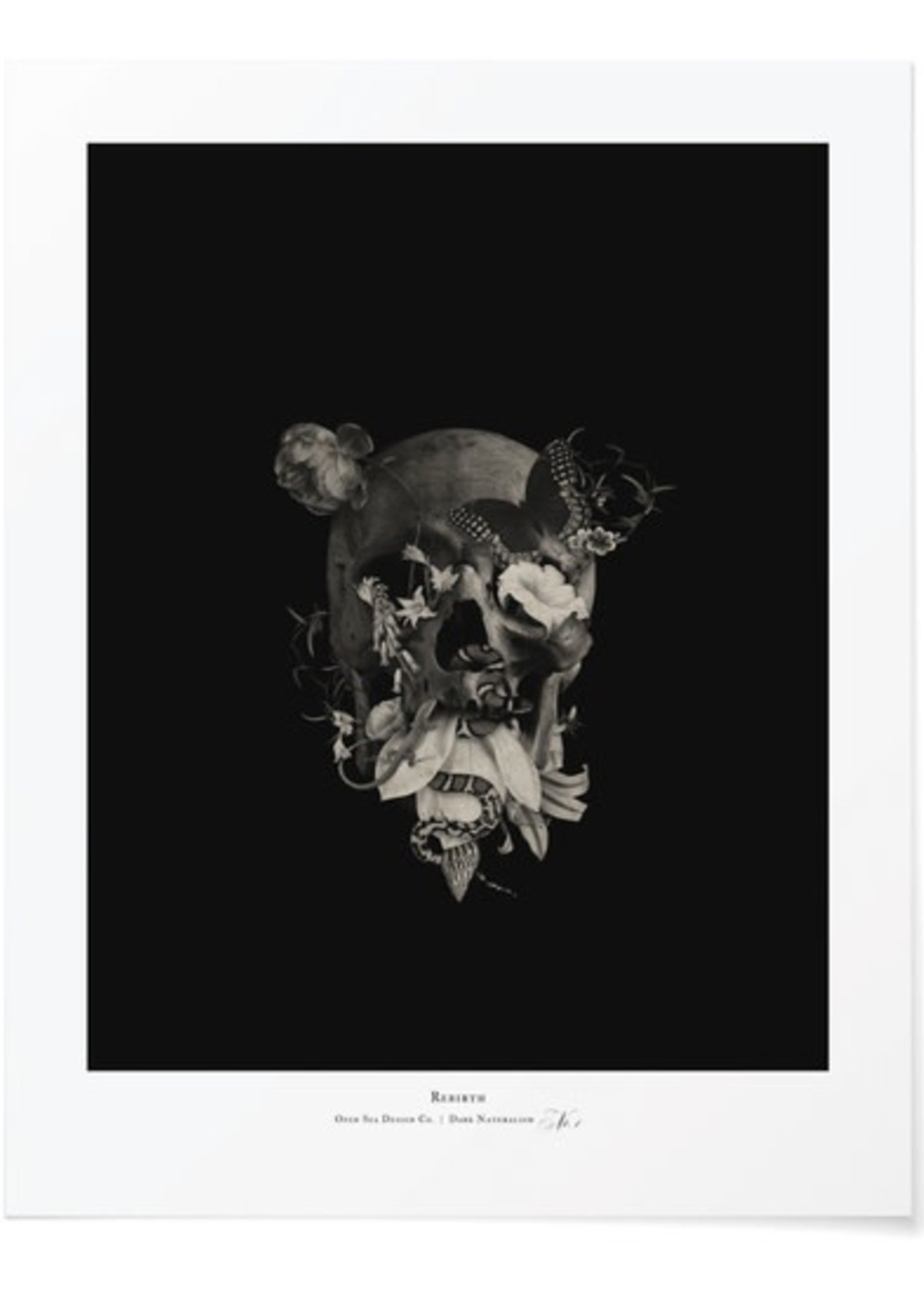 Open Sea Art: Rebirth