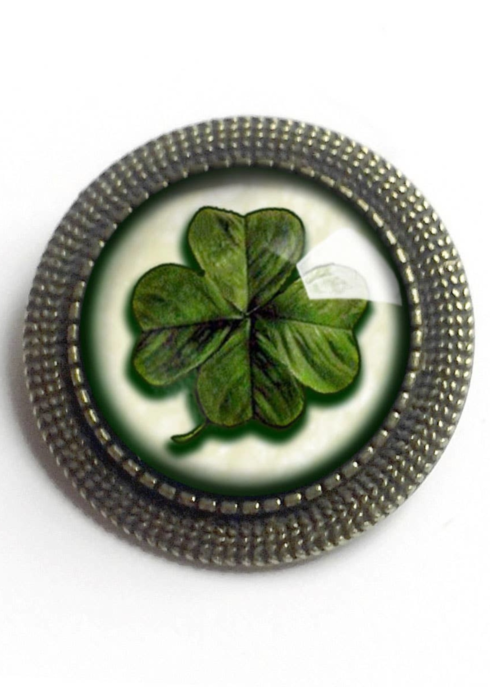 The Divine Iguana Shamrock Brooch