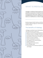 Red Feather Health Through Your Eyes: Understand and Use Iridology