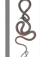 Open Sea Paradise Flying Snake Greeting Card