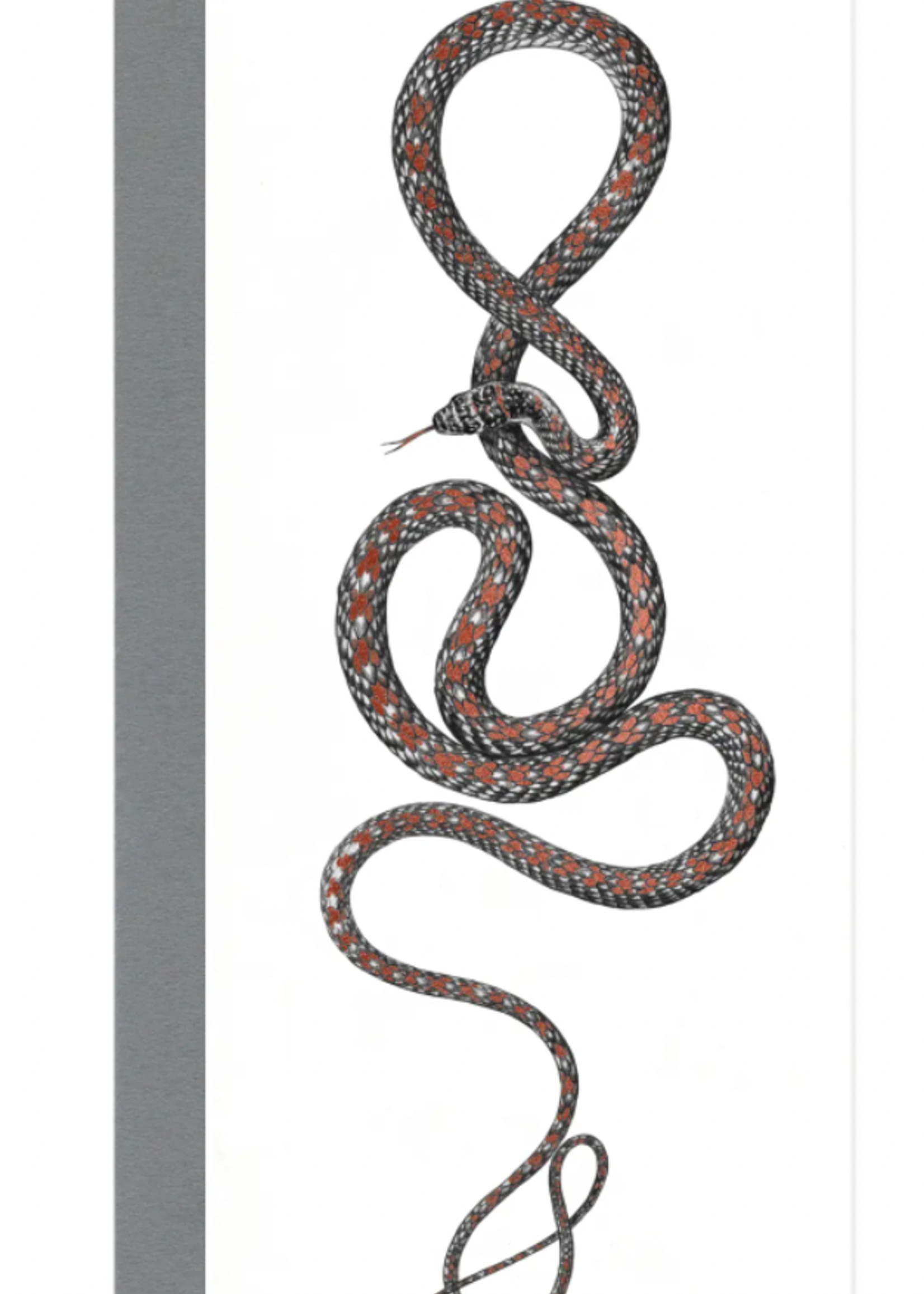 Open Sea Paradise Flying Snake Greeting Card