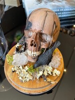 Modern Druid 'Skull and Raven' Diorama