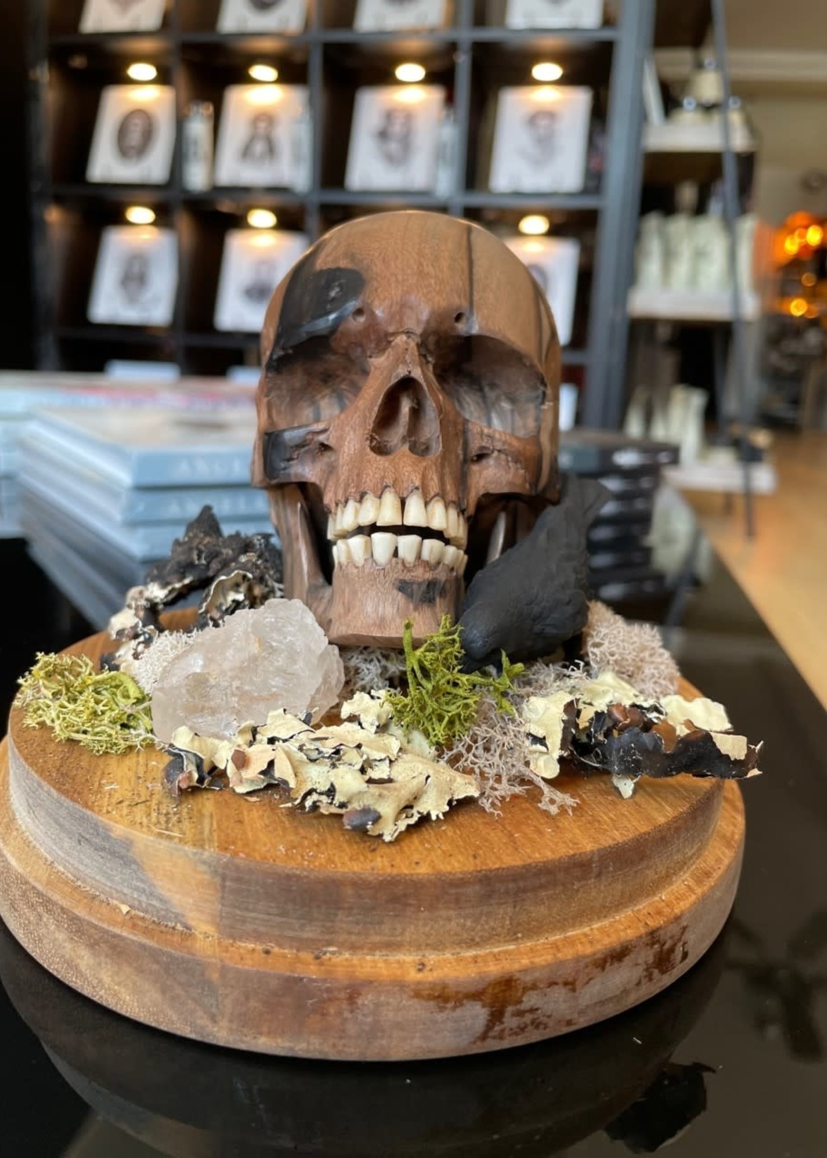 Modern Druid 'Skull and Raven' Diorama