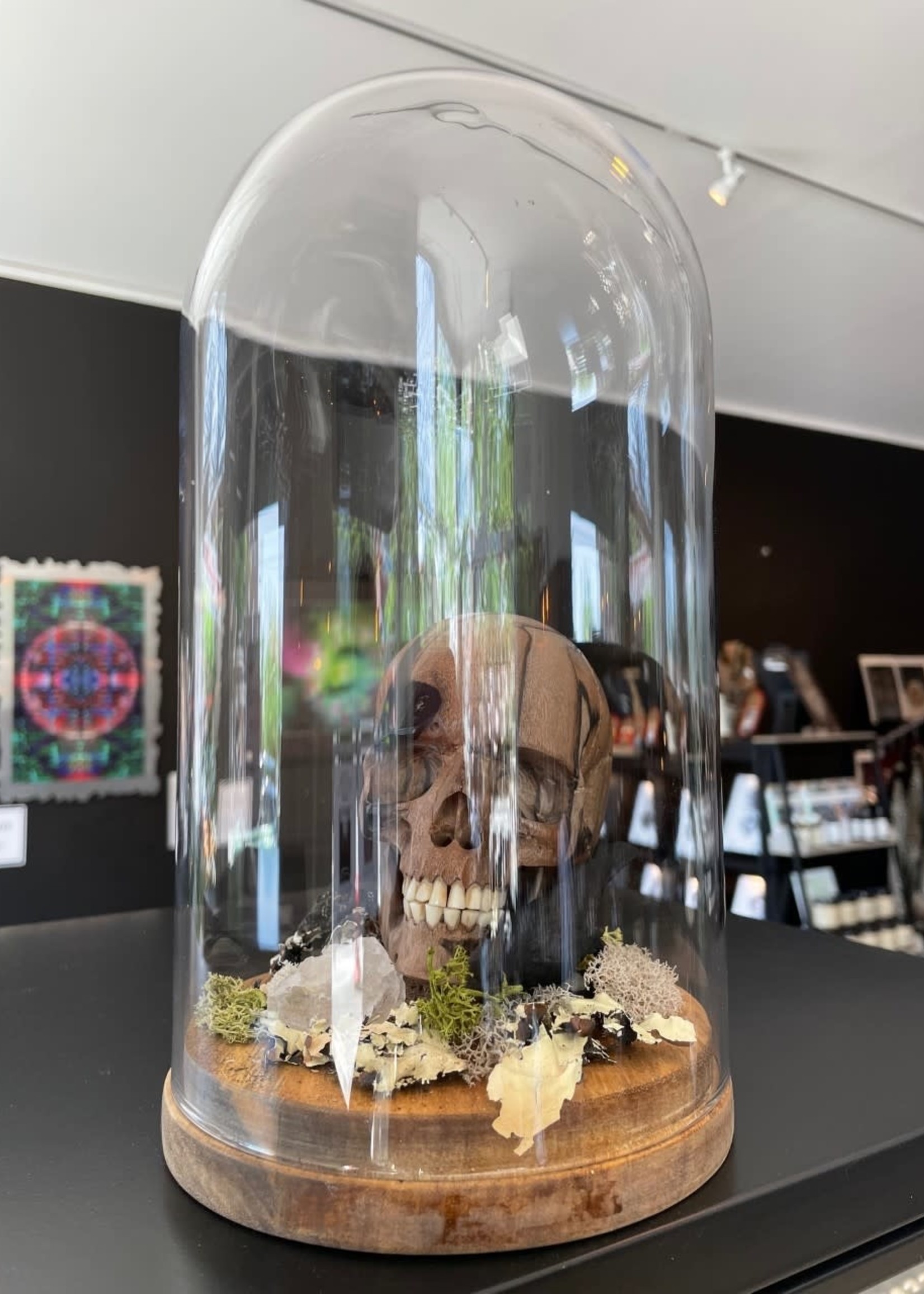 Modern Druid 'Skull and Raven' Diorama