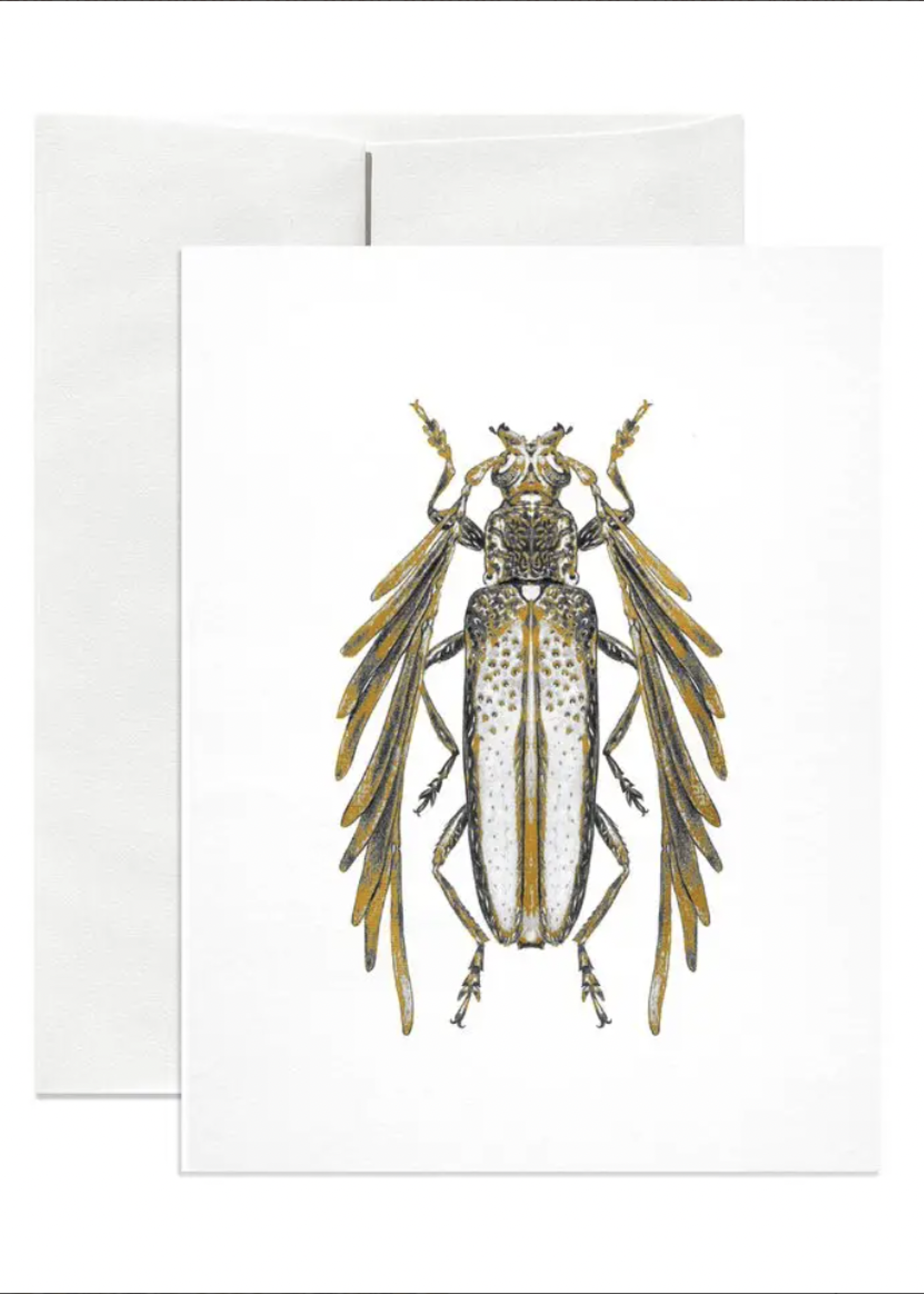 Open Sea Feather-horned Longicorn Blank Card