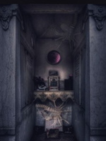 HD Howard HD Howard Print - Purple Window