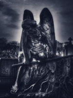 HD Howard HD Howard Print - Fallen Angel