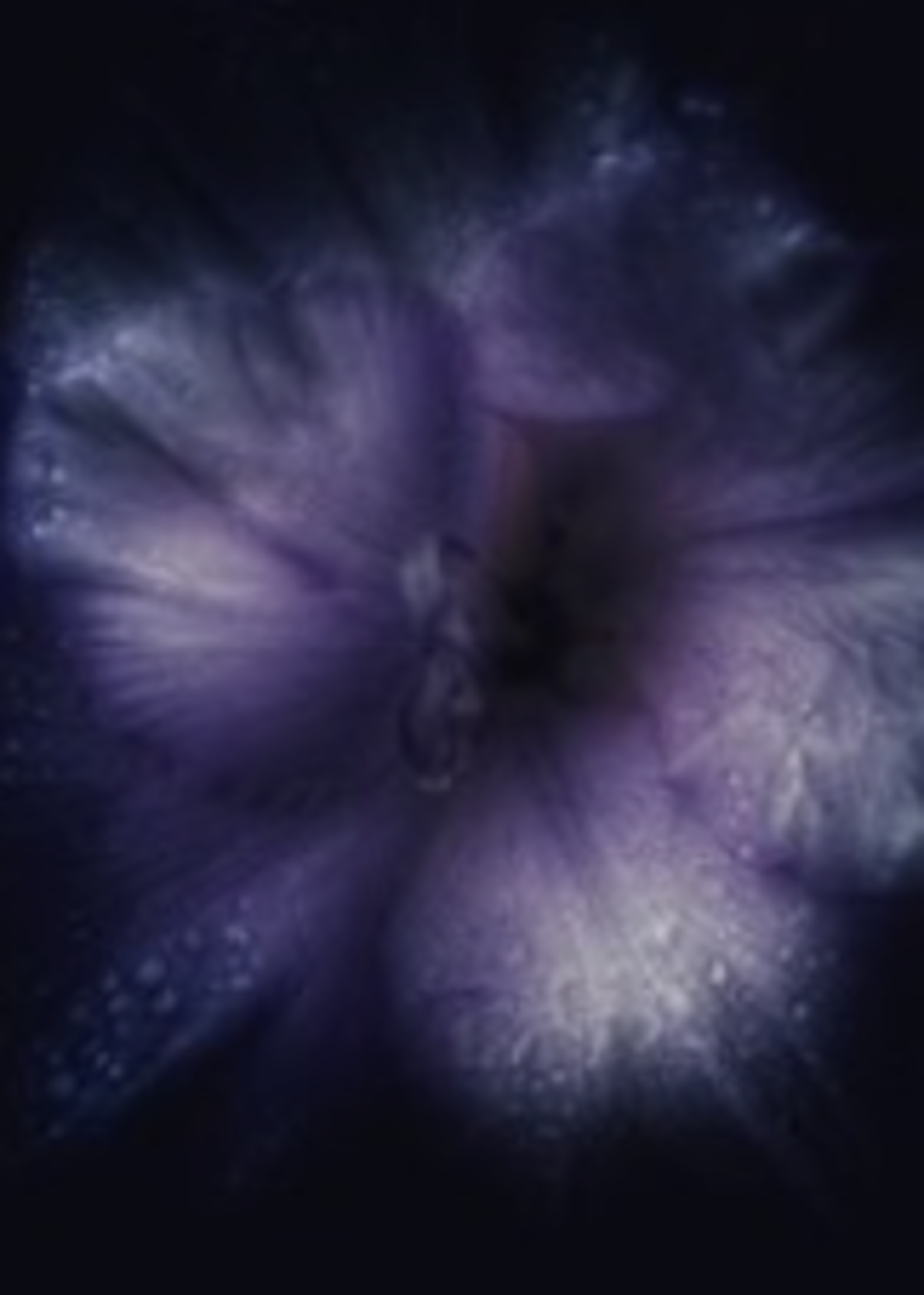 HD Howard HD Howard - Dark Blooms - Flower 7  Large Frame