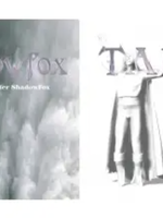 Red Feather Shadow Fox Tarot