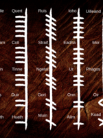 Modern Druid Ogham Class with Morgana - Aicme 2 - Coll (Hazel)